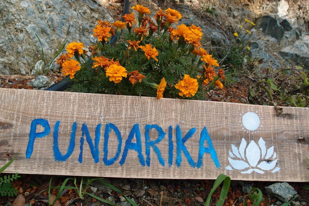 Casale Pundarika Guest House Riparbella Eksteriør bilde