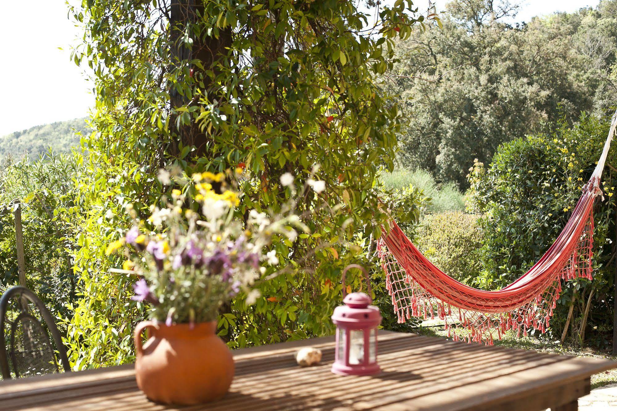 Casale Pundarika Guest House Riparbella Eksteriør bilde